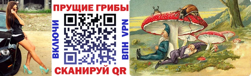 Псилоцибиновые грибы мухоморы  Сельцо 